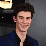Unlocking Shawn Mendes: Discoveries and Insights