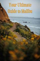 Your Ultimate Guide to the Malibu Cat Extravaganza